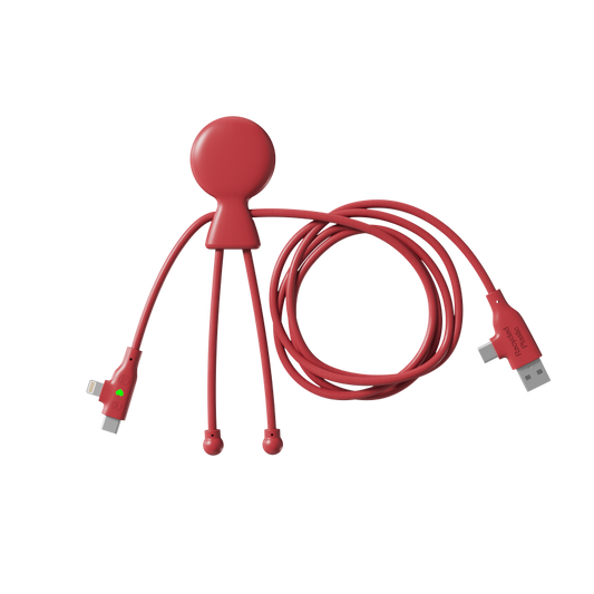 Multi-charge Cable
