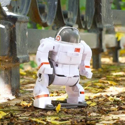 6-in-1 Space Robot