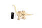 Make Your Own Walking Dino